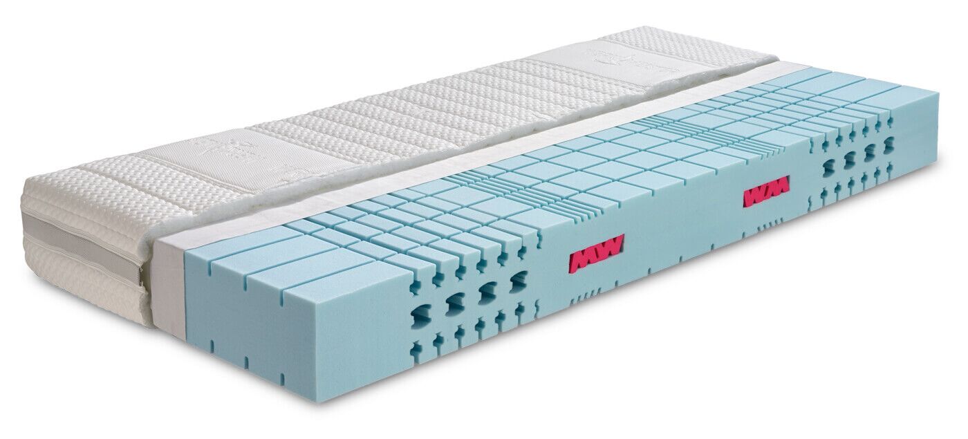 WERKMEISTER_MS55_PLUS